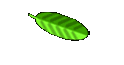 Fuechse